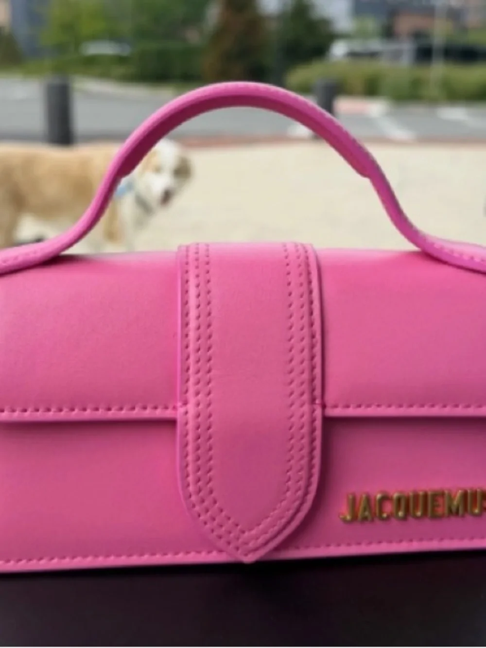 Jacquemus Pink Top-Handle Women's Bag